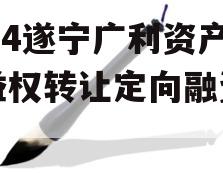 2024遂宁广利资产收益权转让定向融资计划