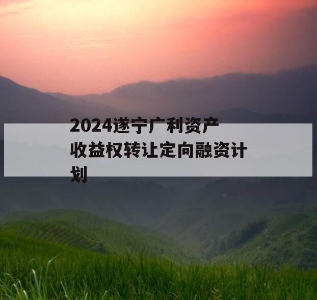 2024遂宁广利资产收益权转让定向融资计划
