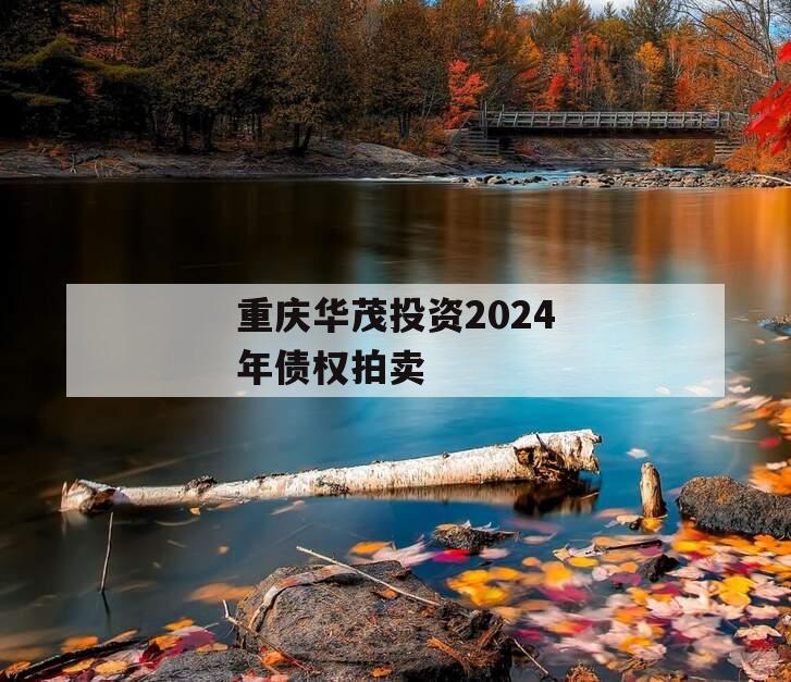 重庆华茂投资2024年债权拍卖