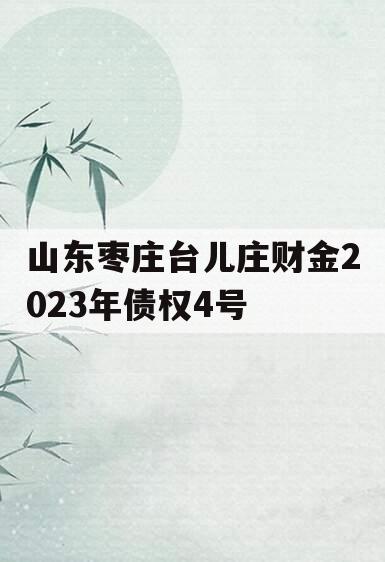 山东枣庄台儿庄财金2023年债权4号