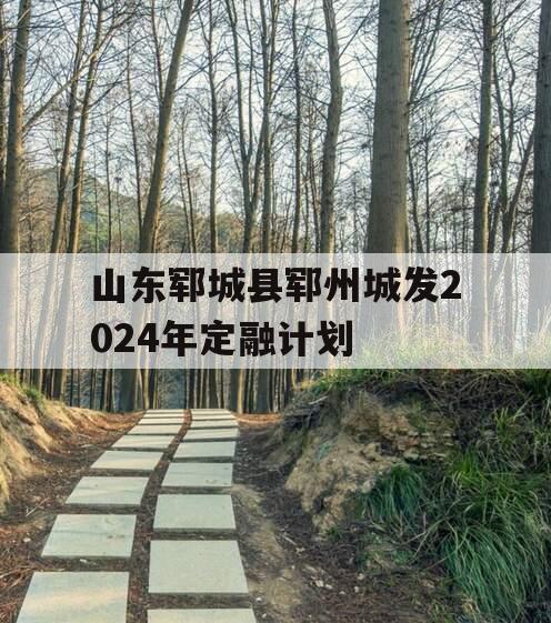 山东郓城县郓州城发2024年定融计划
