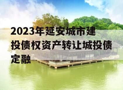 2023年延安城市建投债权资产转让城投债定融