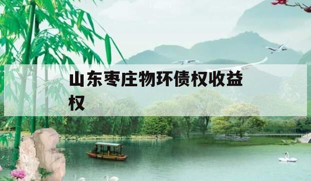 山东枣庄物环债权收益权