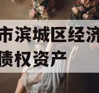 滨州市滨城区经济开发投资债权资产