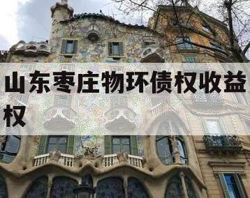 山东枣庄物环债权收益权
