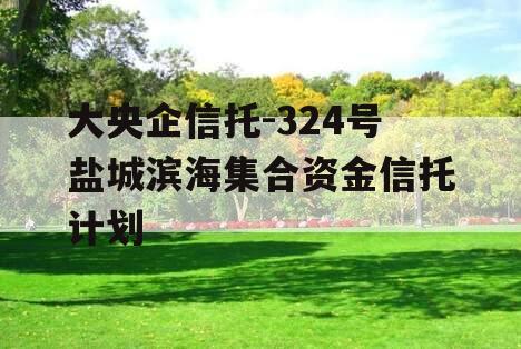 大央企信托-324号盐城滨海集合资金信托计划