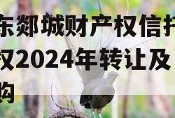 山东郯城财产权信托受益权2024年转让及回购