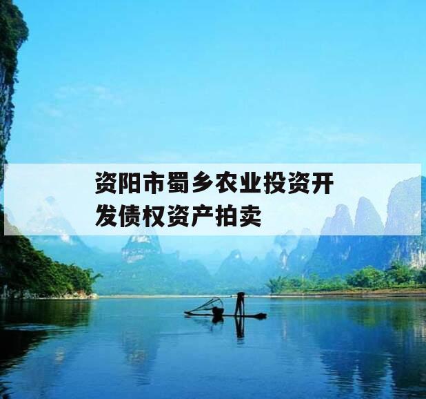 资阳市蜀乡农业投资开发债权资产拍卖