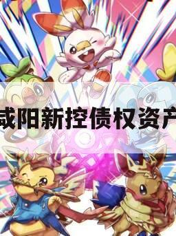 咸阳新控债权资产