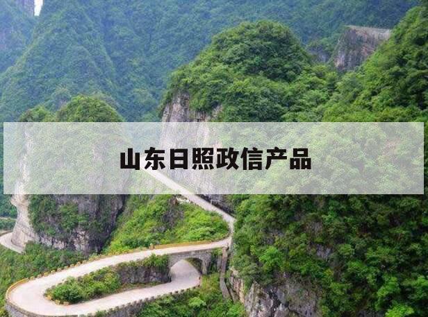 山东日照政信产品