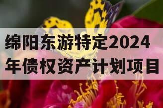 绵阳东游特定2024年债权资产计划项目