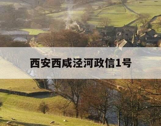西安西咸泾河政信1号