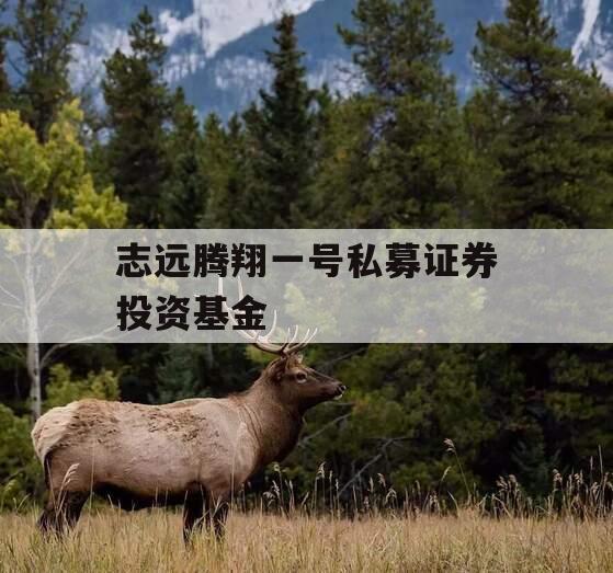 志远腾翔一号私募证券投资基金