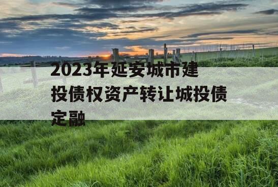 2023年延安城市建投债权资产转让城投债定融