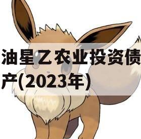 江油星乙农业投资债权资产(2023年)