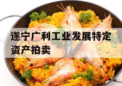遂宁广利工业发展特定资产拍卖