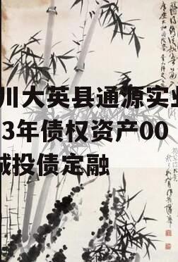 四川大英县通源实业2023年债权资产001城投债定融