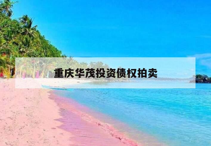 重庆华茂投资债权拍卖