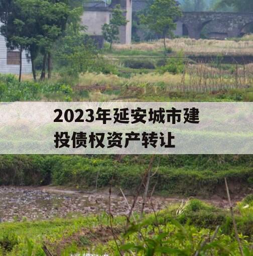 2023年延安城市建投债权资产转让