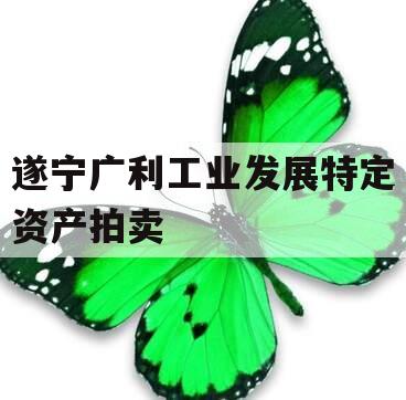 遂宁广利工业发展特定资产拍卖