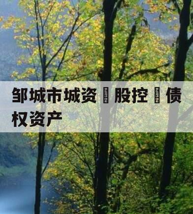 邹城市城资‮股控‬债权资产