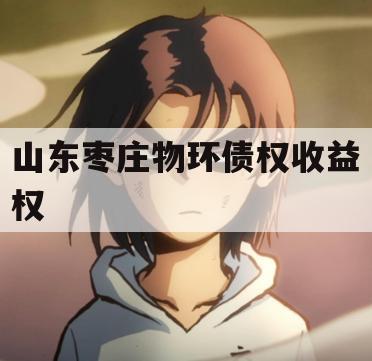 山东枣庄物环债权收益权