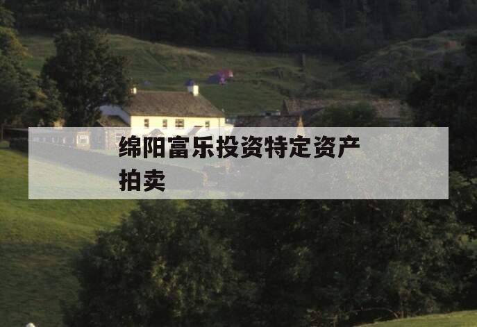 绵阳富乐投资特定资产拍卖