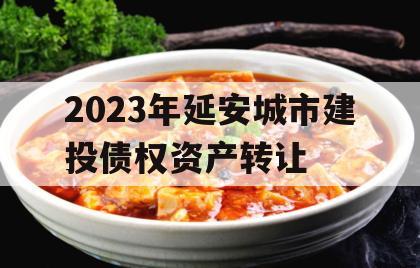 2023年延安城市建投债权资产转让