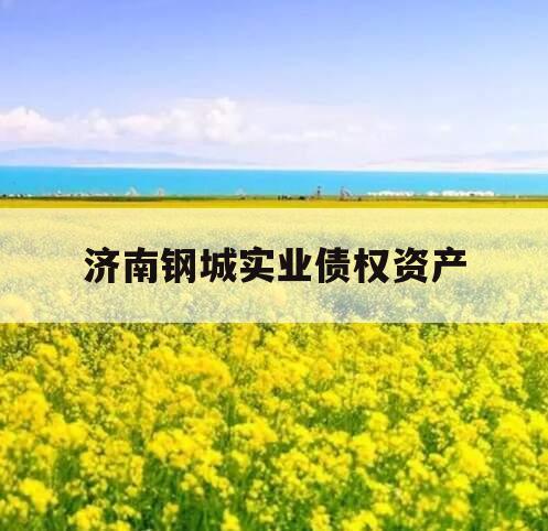 济南钢城实业债权资产
