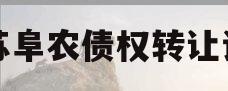 江苏阜农债权转让计划