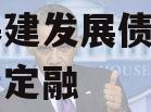 协昌基建发展债权项目城投债定融