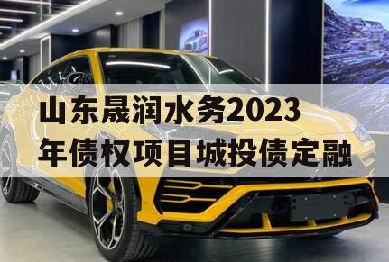 山东晟润水务2023年债权项目城投债定融