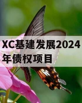 XC基建发展2024年债权项目