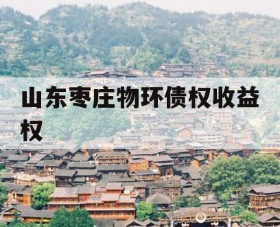 山东枣庄物环债权收益权