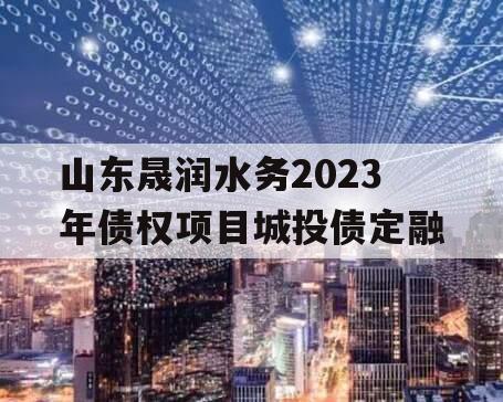 山东晟润水务2023年债权项目城投债定融