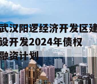 武汉阳逻经济开发区建设开发2024年债权融资计划