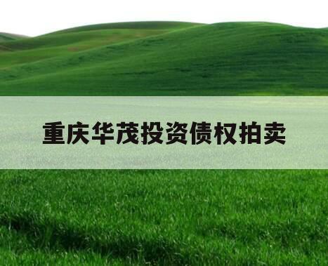 重庆华茂投资债权拍卖