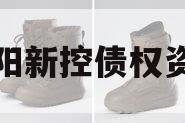 咸阳新控债权资产