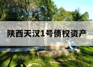 陕西天汉1号债权资产