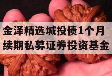 金泽精选城投债1个月续期私募证券投资基金