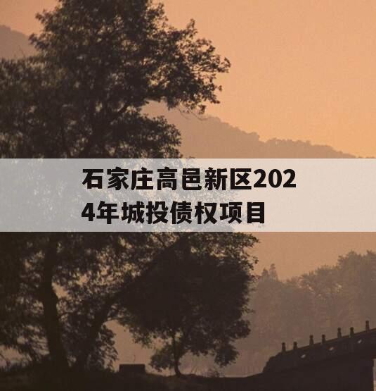 石家庄高邑新区2024年城投债权项目
