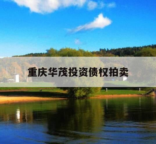 重庆华茂投资债权拍卖