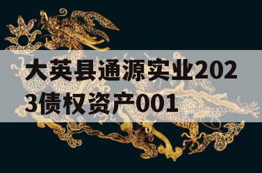 大英县通源实业2023债权资产001