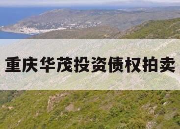 重庆华茂投资债权拍卖