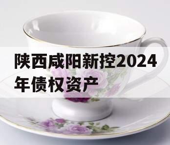 陕西咸阳新控2024年债权资产