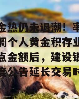 黄金热仍未退潮！率先上调个人黄金积存业务起点金额后，建设银行再度公告延长交易时间