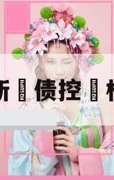 咸阳新‮债控‬权资产