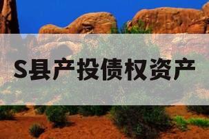 S县产投债权资产