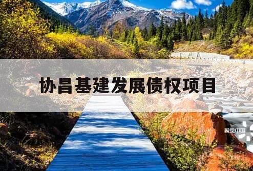 协昌基建发展债权项目