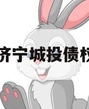 山东济宁城投债权资产